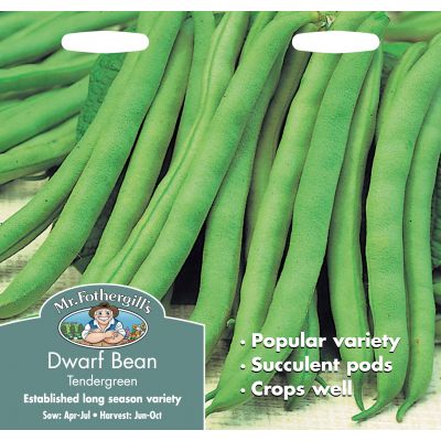 DWARF FRENCH BEAN Tendergreen - image 2