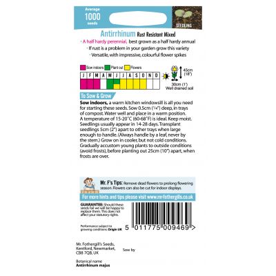 ANTIRRHINUM Rust Resistant Mixed - image 2