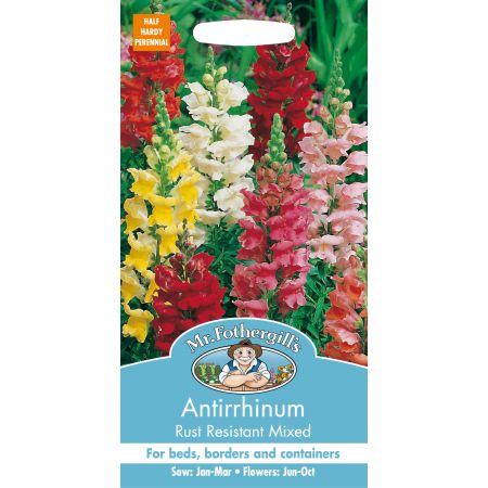 ANTIRRHINUM Rust Resistant Mixed - image 1