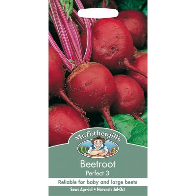BEETROOT Perfect 3 - image 2