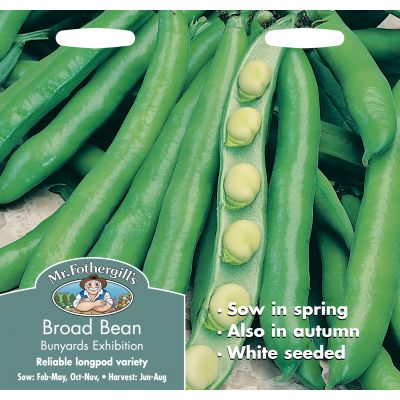 BROAD BEAN Bunyards Exhibition - image 1