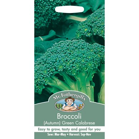 BROCCOLI (Autumn) Green Calabrese - image 1