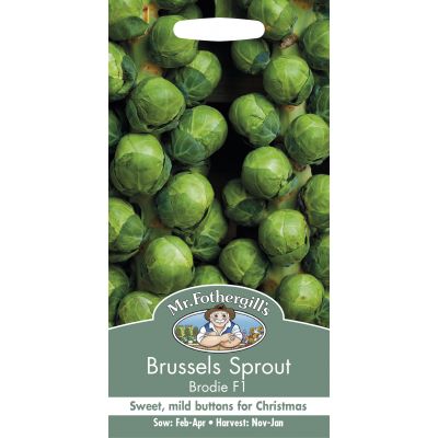 BRUSSELS SPROUT Brodie F1 - image 2
