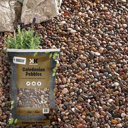 Caledonian Pebbles - image 2