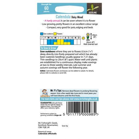 CALENDULA Daisy Mixed - image 2