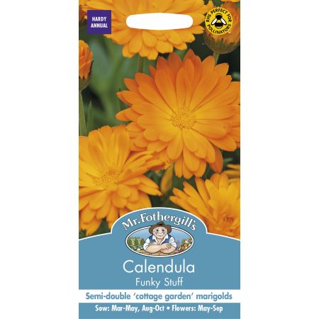 CALENDULA Funky Stuff - image 1