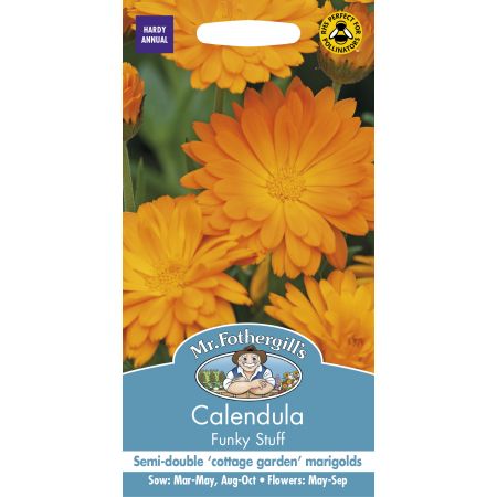 CALENDULA Funky Stuff - image 1