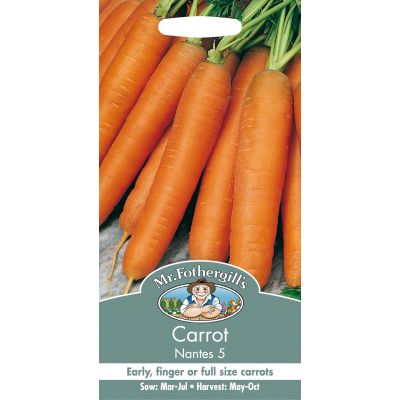 CARROT Nantes 5 - image 2