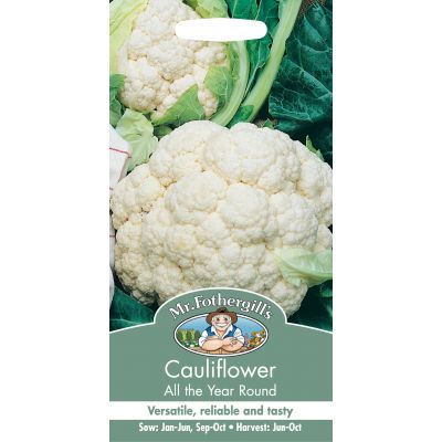 CAULIFLOWER All The Year Round - image 1