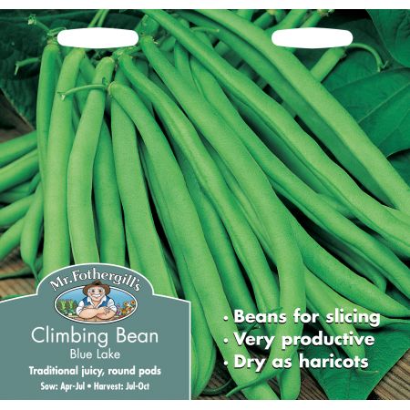 CLIMBING FRENCH BEAN Blue Lake - image 1