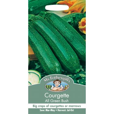 COURGETTE All Green Bush - image 1