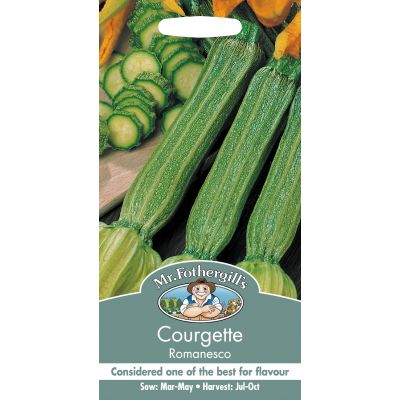 COURGETTE Romanesco - image 2