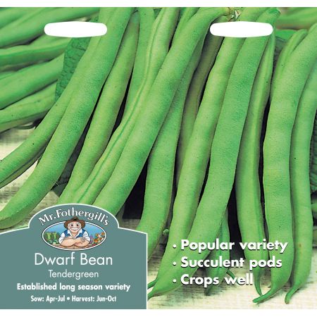 DWARF FRENCH BEAN Tendergreen - image 1