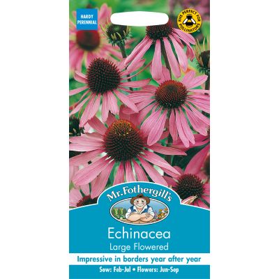 ECHINACEA Large Flowered - image 1