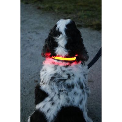 Flash & Go L Rechargeable Collar (45cm-62cm) - image 2