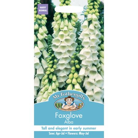 FOXGLOVE Alba - image 1