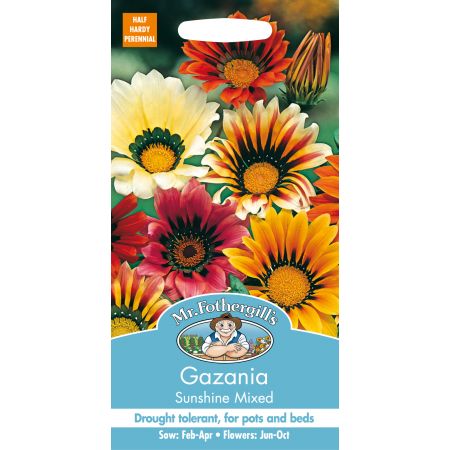 GAZANIA Sunshine Mixed - image 1