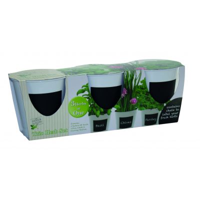 Indoor Flavours Trio Herb Set - with Chalk - image 4