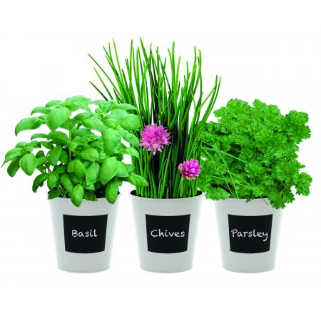 Indoor Flavours  Trio Herb Set - with Chalk - image 2