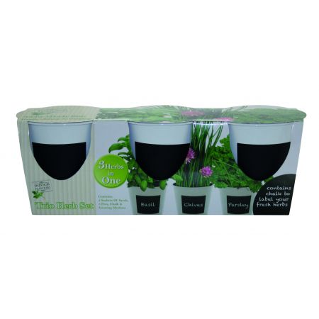 Indoor Flavours  Trio Herb Set - with Chalk - image 3