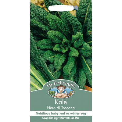 KALE Nero Di Toscana - image 2