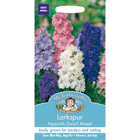 LARKSPUR Hyacinth Dwarf Mixed - image 1