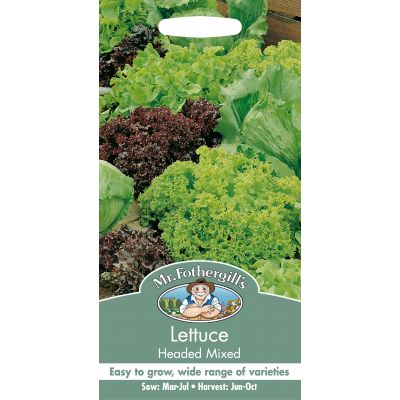 LETTUCE Headed Mixed - image 2