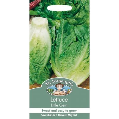 LETTUCE Little Gem - image 1