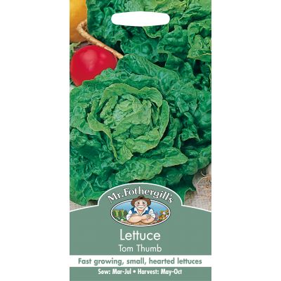 LETTUCE Tom Thumb - image 1