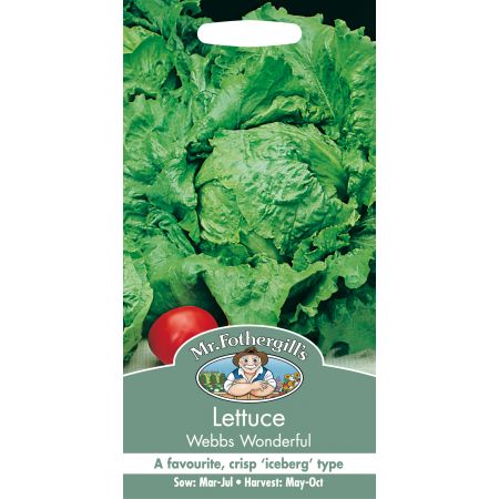 LETTUCE Webbs Wonderful - image 1