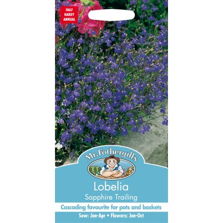 LOBELIA Sapphire Trailing - image 1