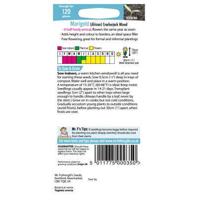 MARIGOLD (African) Crackerjack Mixed - image 2