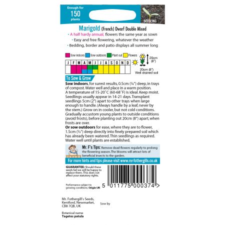 MARIGOLD (French) Dwarf Double Mixed - image 2