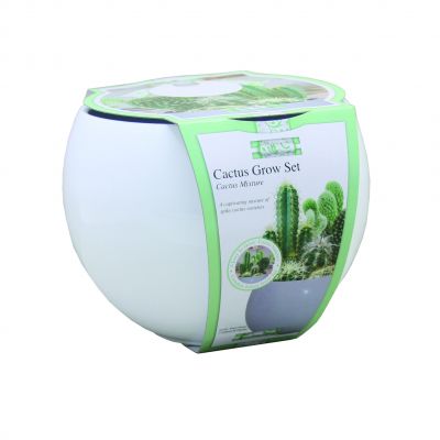 Mixed Cactus Grow Set (17cm Sphere) - image 2