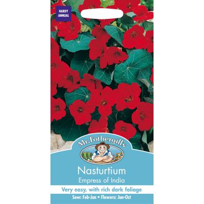 NASTURTIUM Empress of India - image 2