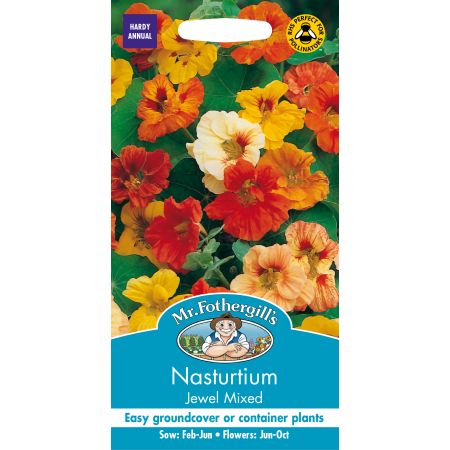 NASTURTIUM Jewel Mixed - image 1