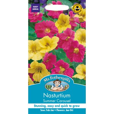 NASTURTIUM Summer Carousel - image 2