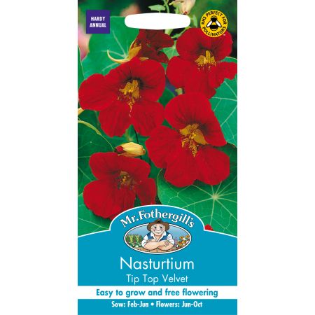 NASTURTIUM Tip Top Velvet - image 1