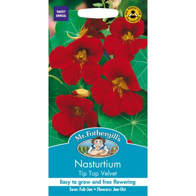 NASTURTIUM Tip Top Velvet - image 2