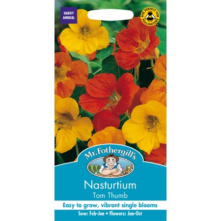 NASTURTIUM Tom Thumb - image 1