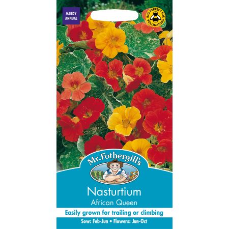 NASTURTIUM (Trailing) African Queen - image 1