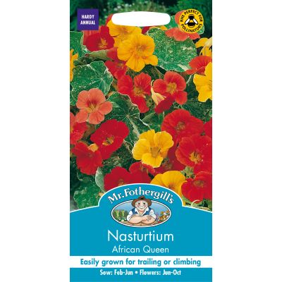 NASTURTIUM (Trailing) African Queen - image 2