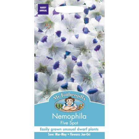 NEMOPHILA Five Spot - image 1