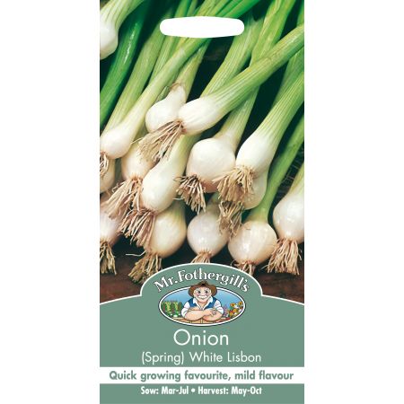ONION (Spring) White Lisbon - image 1