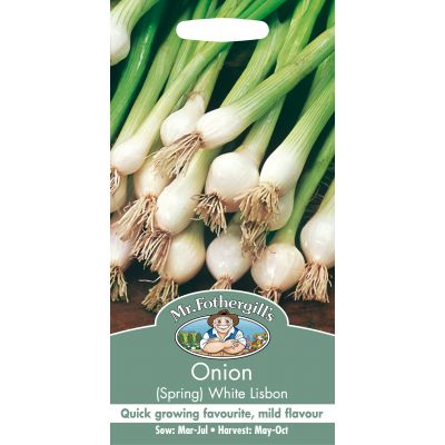 ONION (Spring) White Lisbon - image 1