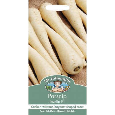 PARSNIP Javelin F1 - image 1