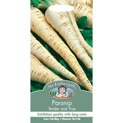 PARSNIP Tender and True - image 2