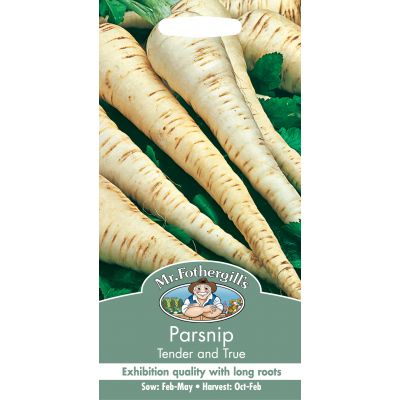 PARSNIP Tender and True - image 1