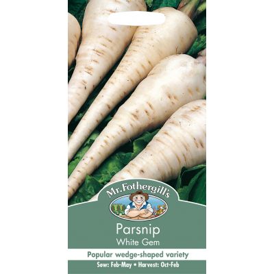 PARSNIP White Gem - image 1