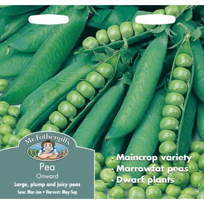 PEA Onward - image 2